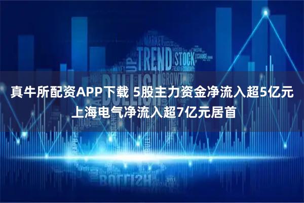真牛所配资APP下载 5股主力资金净流入超5亿元 上海电气净流入超7亿元居首
