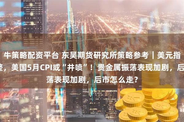 牛策略配资平台 东吴期货研究所策略参考｜美元指数大幅调整，美国5月CPI或“井喷”！贵金属振荡表现加剧，后市怎么走？