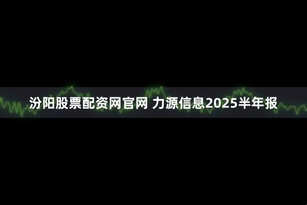 汾阳股票配资网官网 力源信息2025半年报