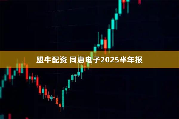 盟牛配资 同惠电子2025半年报